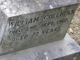 image of grave number 245751